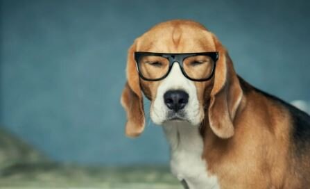  Изображение взято с сайта avto.goodfon.ru