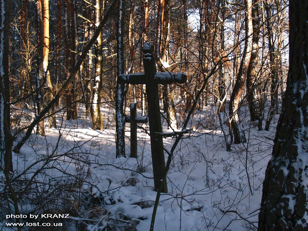 фото Яндекс Картинки