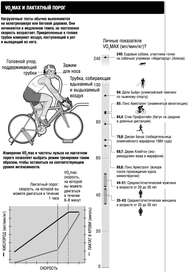 Источник: zozhnik.ru