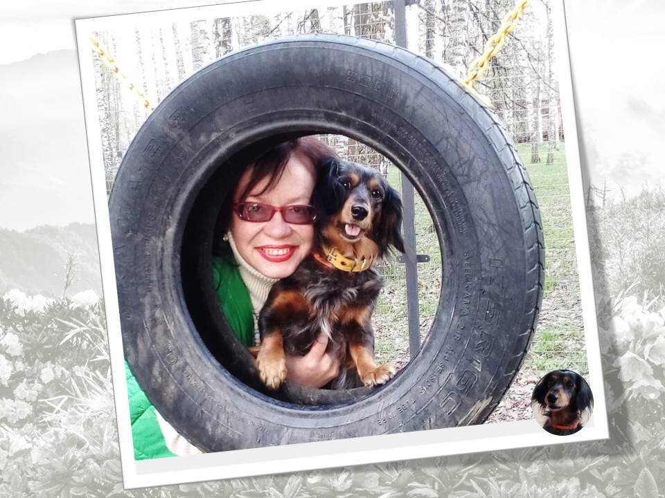 Будем благодарны, если поставите нам лайк и подпишетесь на канал !  Вы поможете развитию нашего канала.