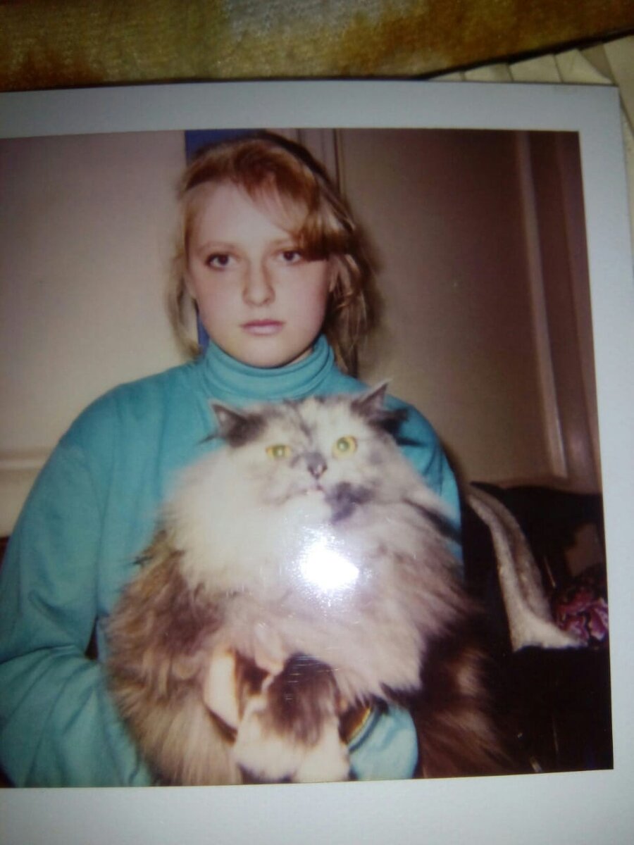 Еника, 20 тысяч долларов по тем временам, выставка кошек, 2013 год😊