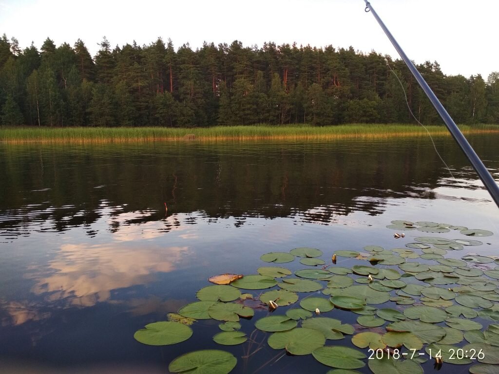 Уловистое место