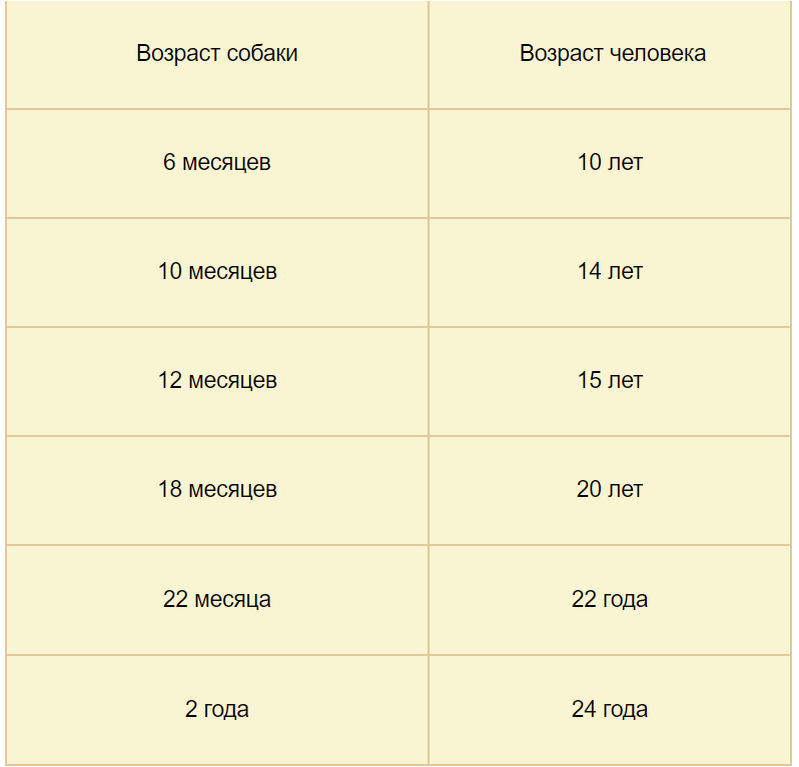 возраст собаки по человеческим меркам таблица: 2 тыс изображений найдено в Яндек