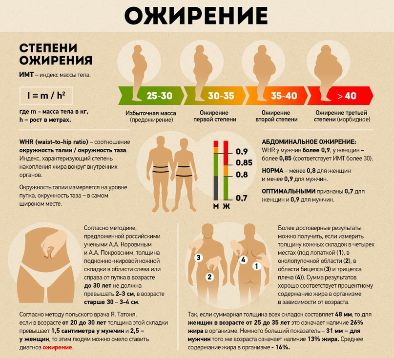 Важность понимания причин ожирения