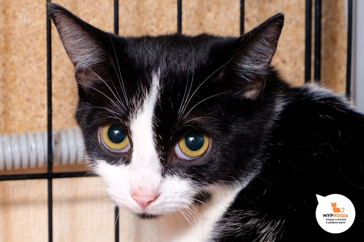 Мишель, 10 месяцев 