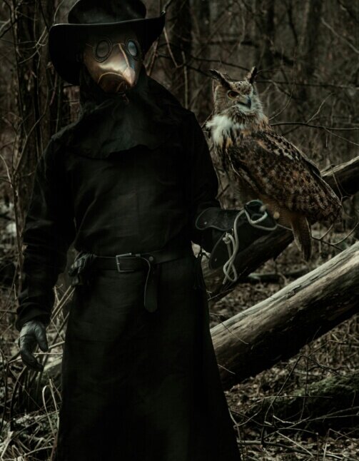 Фото взято из открытых источников