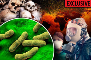 Реалии наших дней