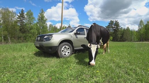 Renault Arkana после Весты.Мысли вслух..