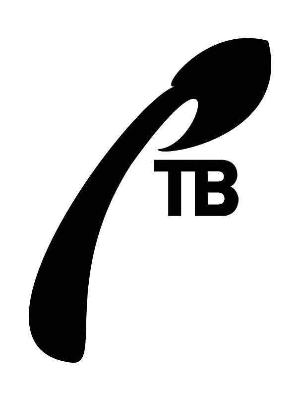 Таким стал первый логотип телеканала