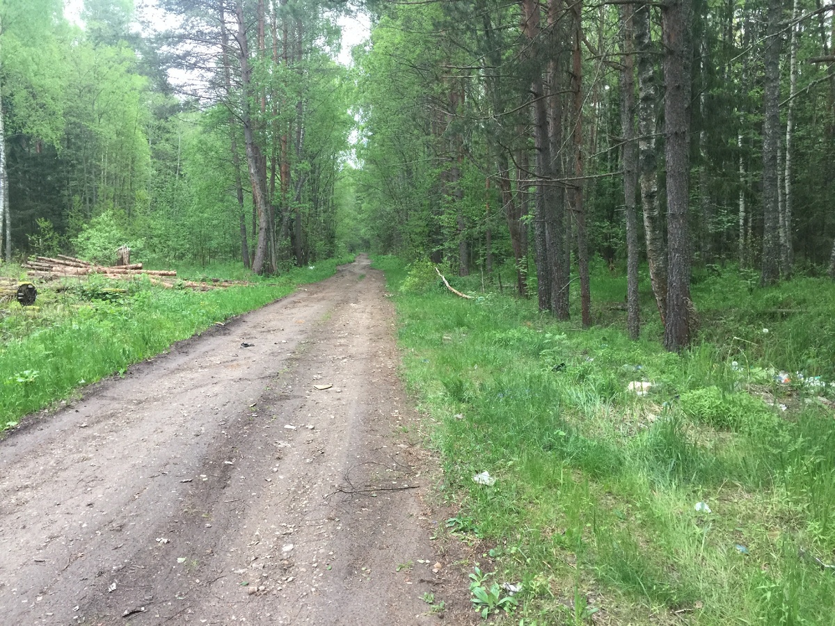 Дорога популярна у местных жителей и "Чёрных Дровосеков"