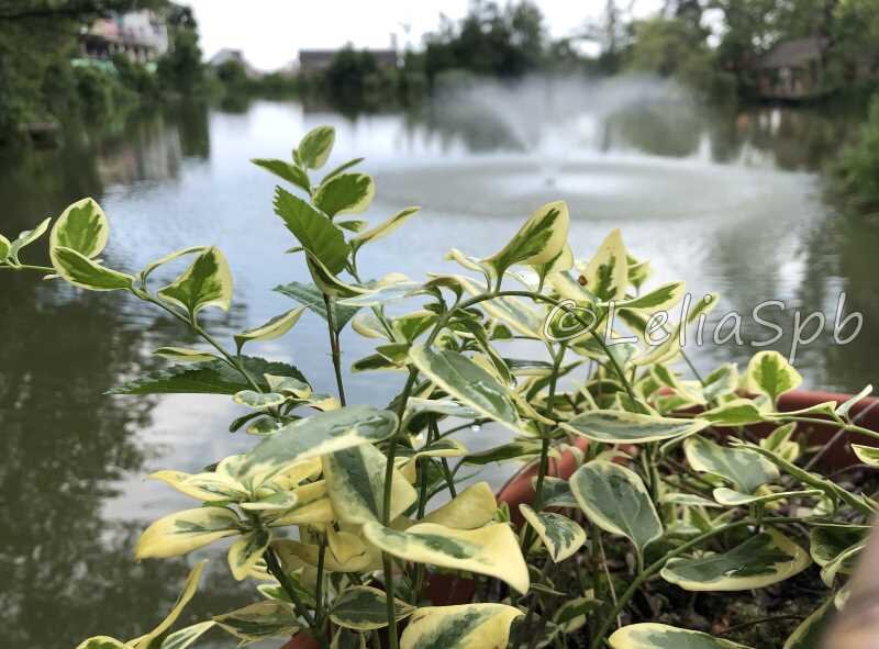 Фото из личного архива. Озеро Дивное.