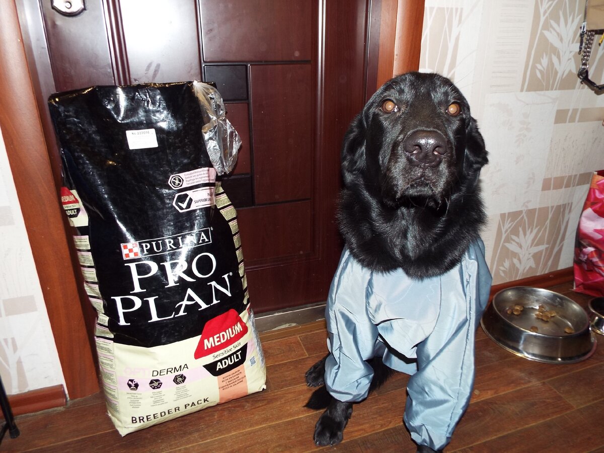 Фотоотзыв клиента нашего зоомагазина 