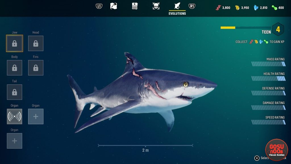 Так выглядит акула на первых уровнях. Потом покажем прокачанную версию.