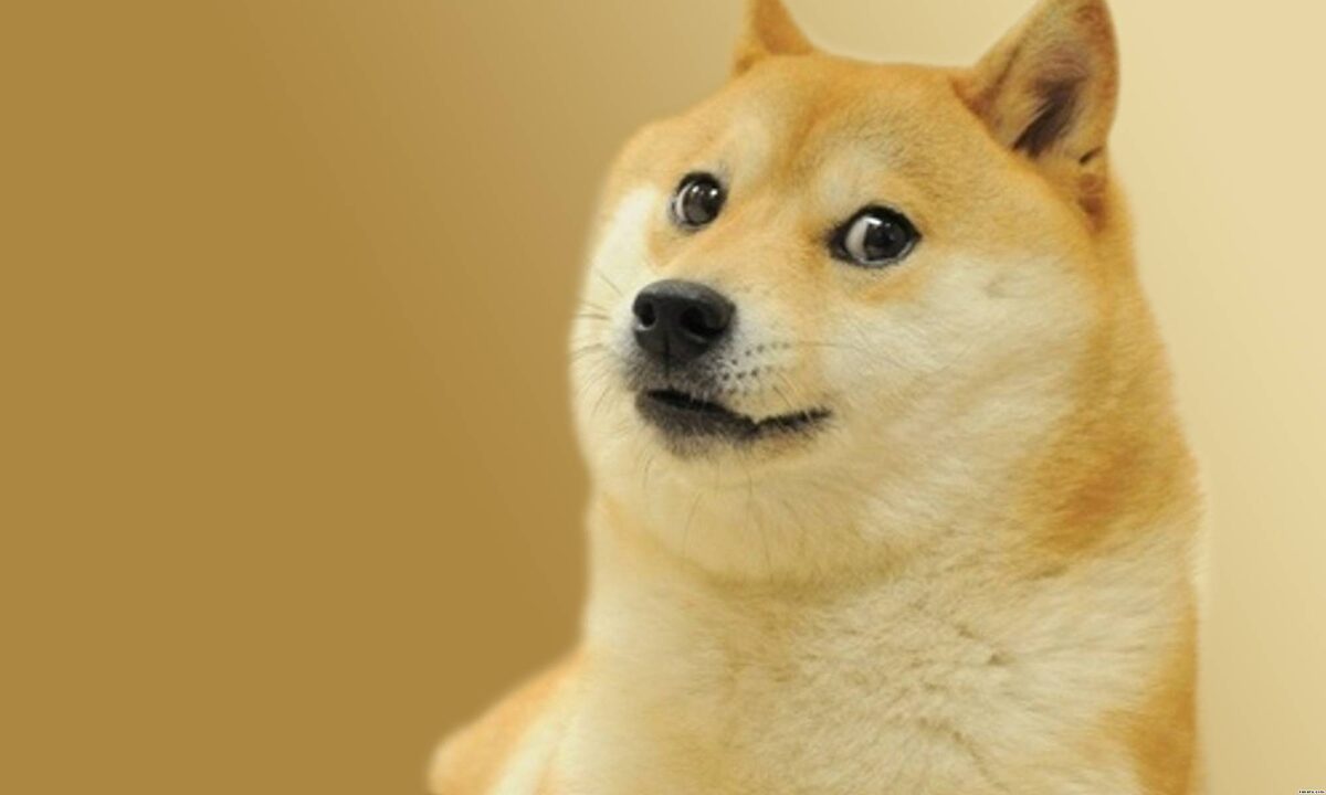 Это плохие новости...