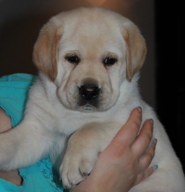 Фотография из интернета. Автор истории в своём комментарии не приложил фото.