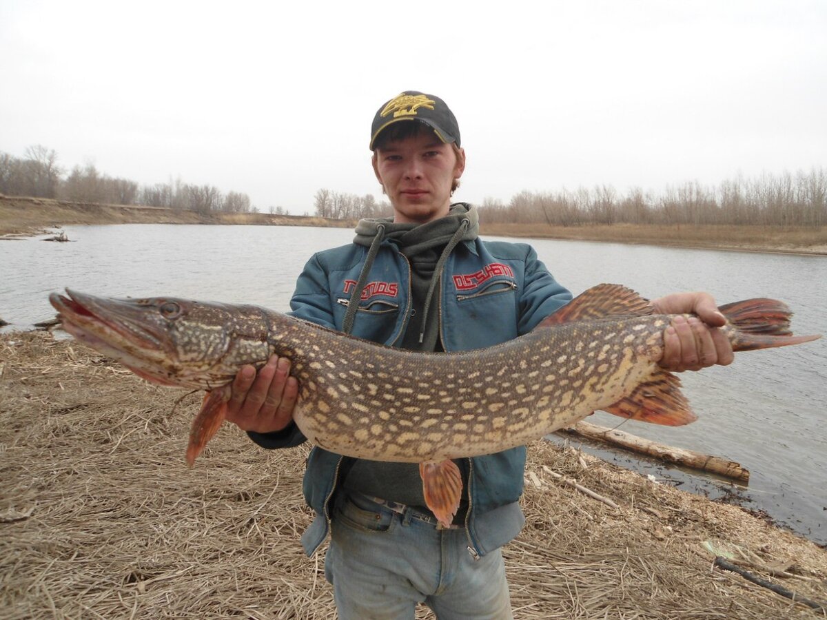 Поздняя осень на Нижней Волге – время трофейного хищника