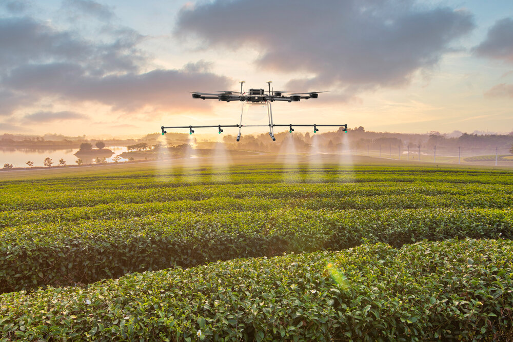 Фото: Shutterstock