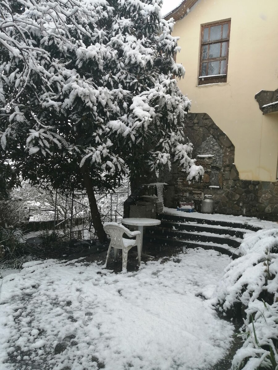 Фото автора. В Сочи, а особенно в предгорьях бывает настоящая зима, со снегопадами и морозом.