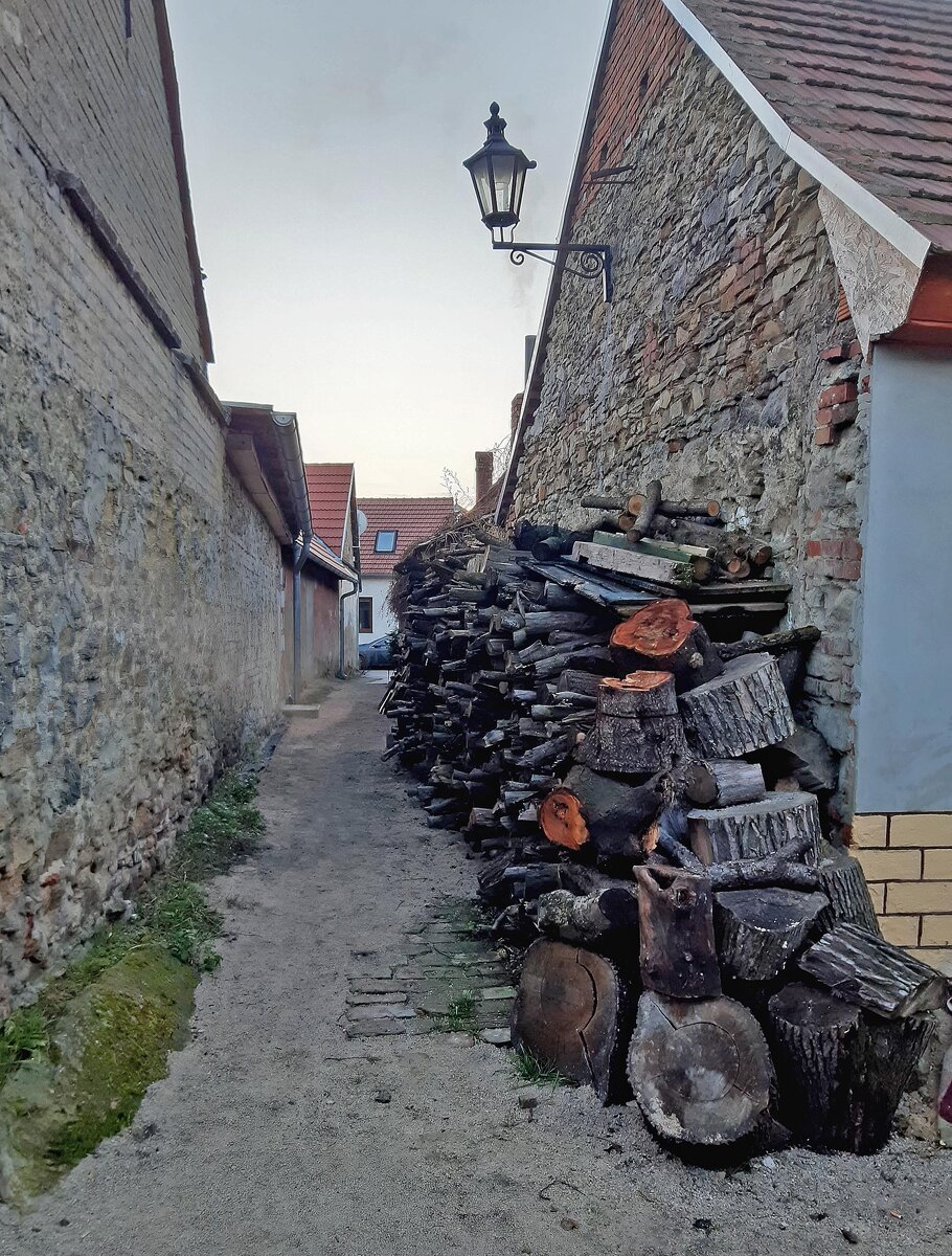 Фото автора. 