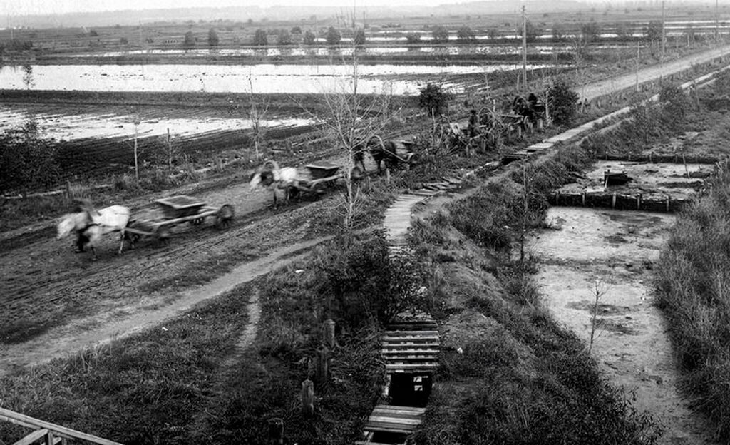 Поля орошения Люберцы. Совхоз Люберецкие поля орошения. Поля аэрации в Люберцах. Поля орошения Люблино Марьино.