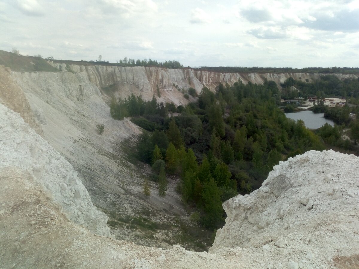 Белый колодец альпаки фото