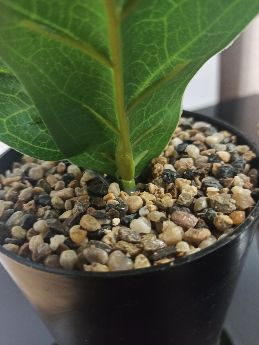 Искусственное растение 