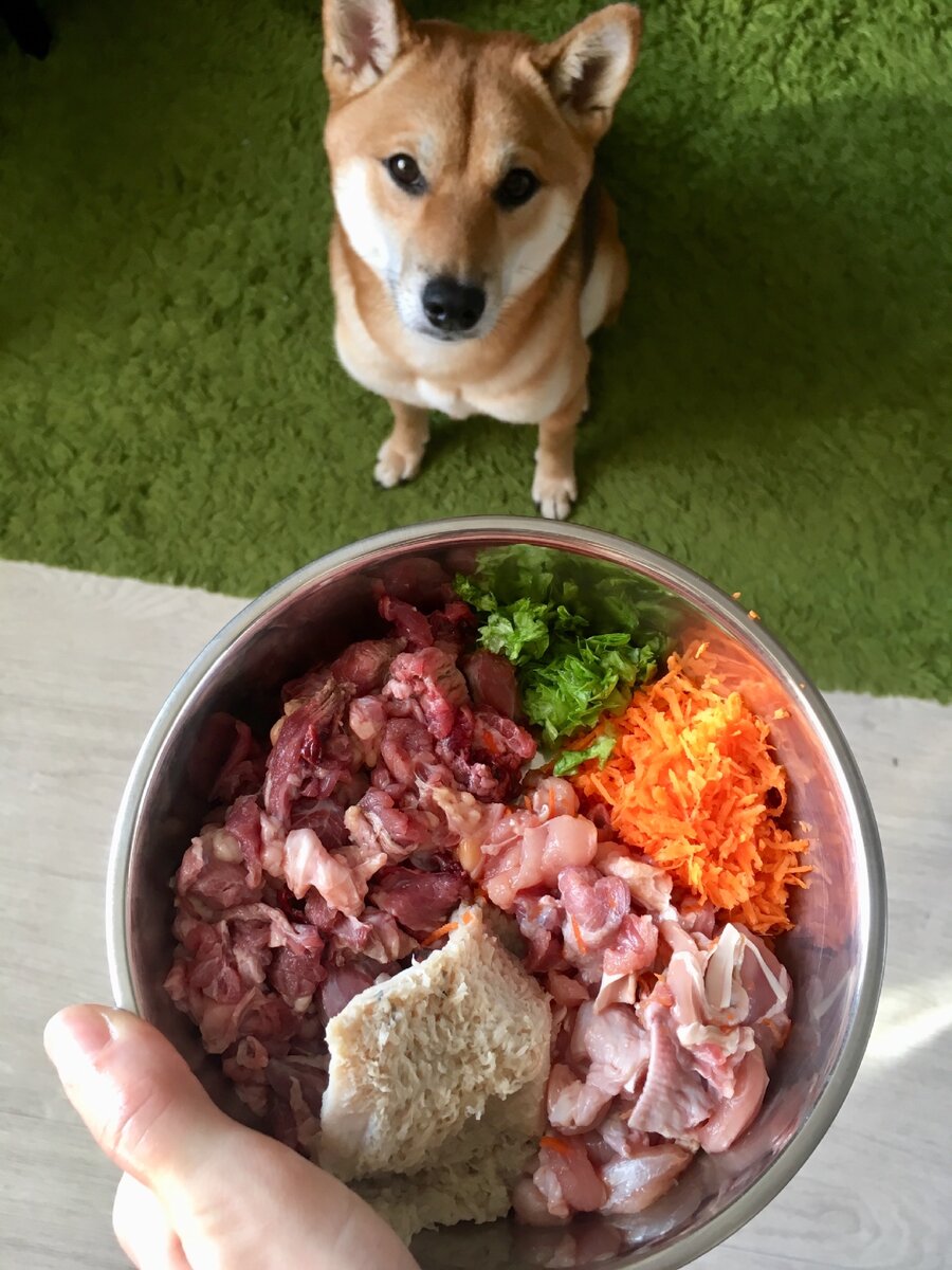 На фото Тимо 2 месяца как вернулся на сыроедение)