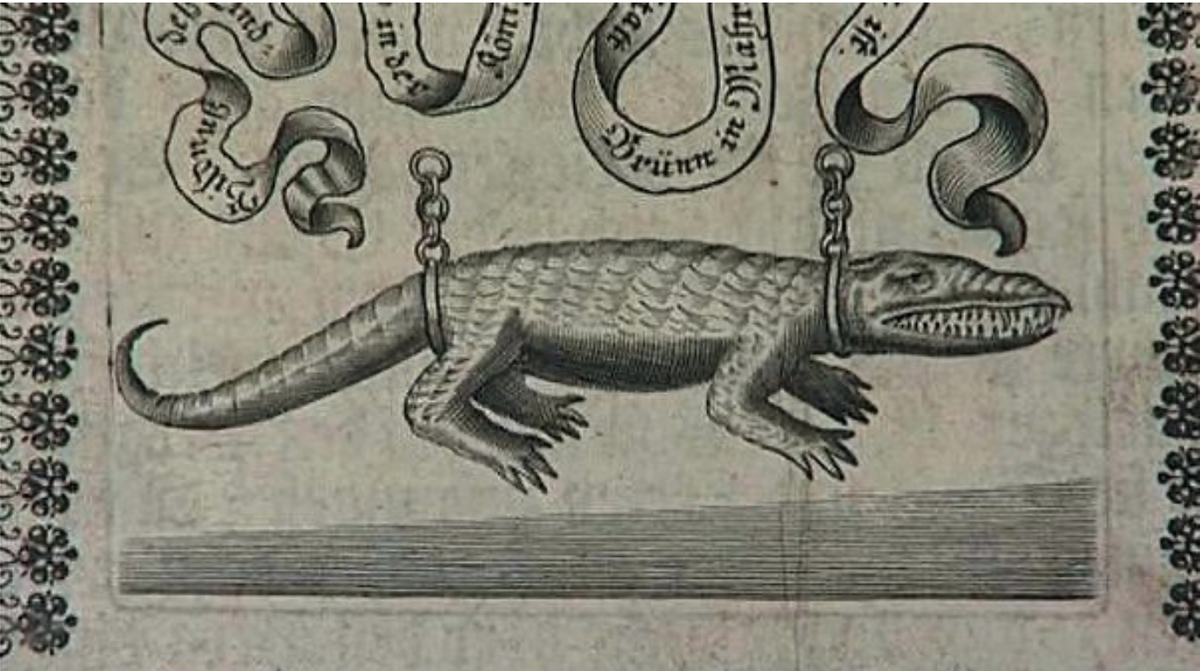 Источник картинки: http://rasfokus.ru/photos/tp/кудыкина+гора/new/photo3112137.html