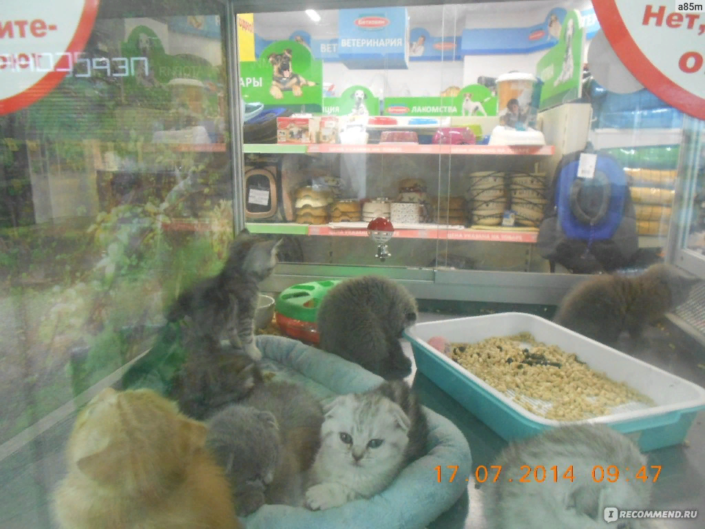 Фото взято из открытых источников интернета.