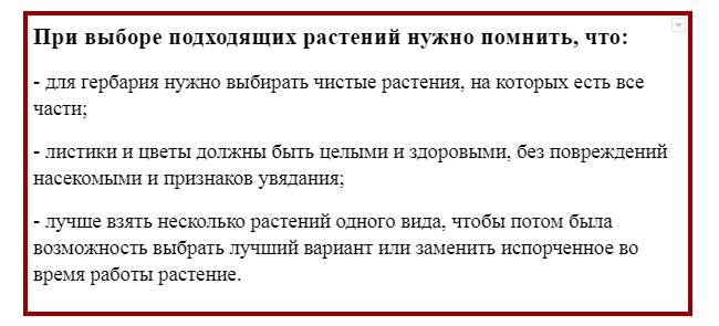 ​«Яблоки детям» впервые прошла в регионах России