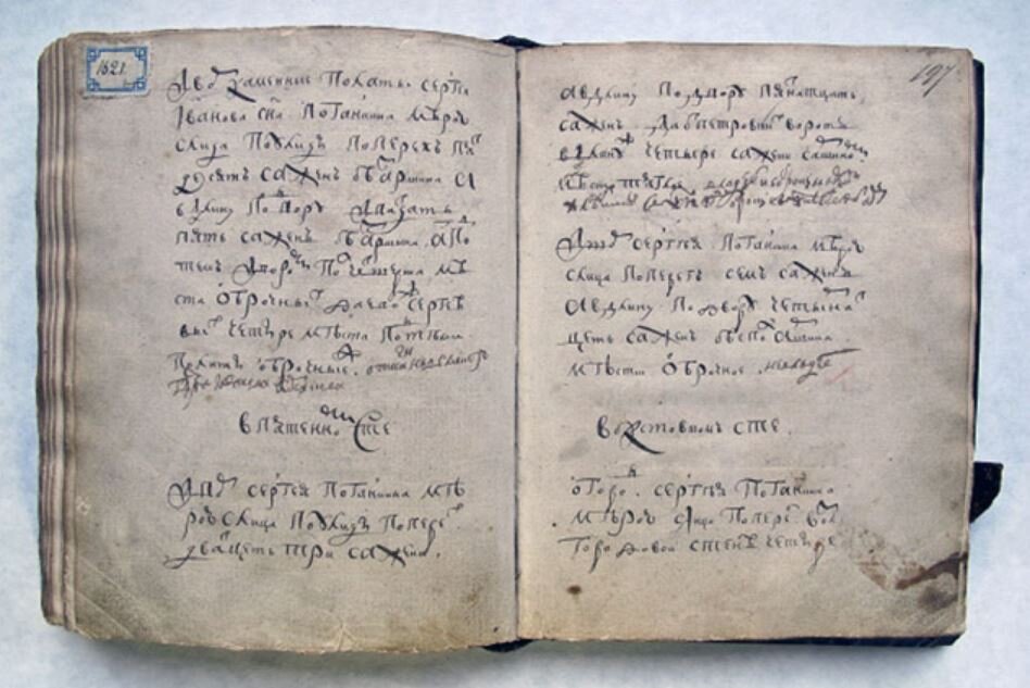 Раскрытая книга записей Сергея Ивановича Поганкина
