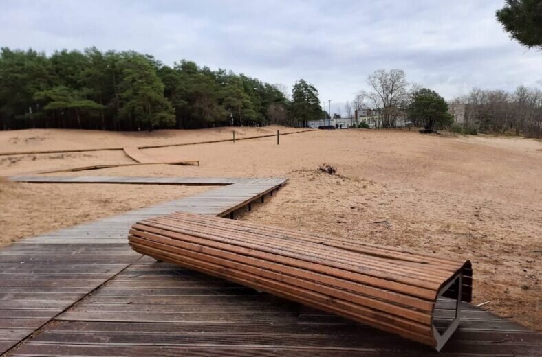 Фото: Анна Шушпанова 