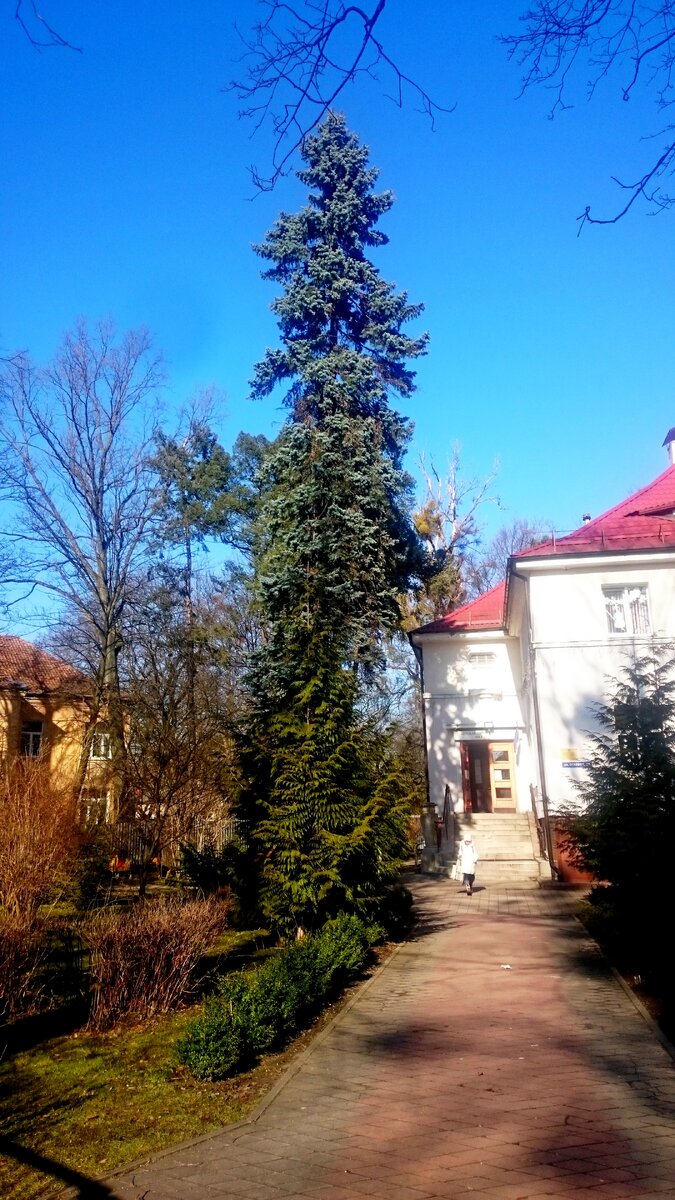 Чувствуется весна?!