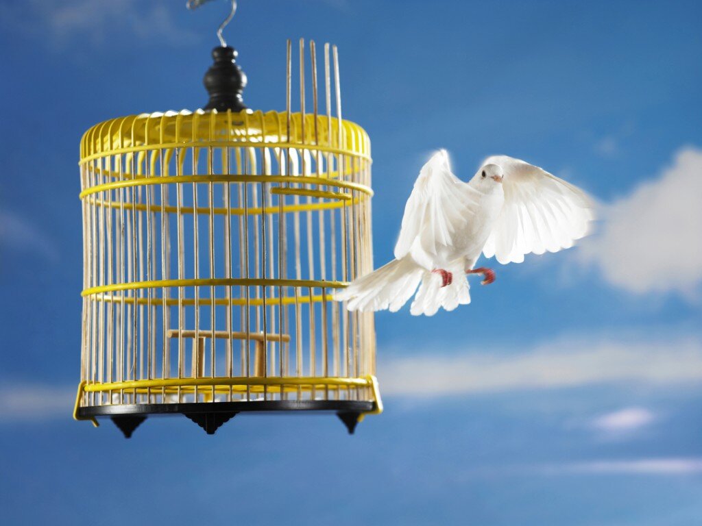 Российская наука не поддастся давлению из-за рубежа и останется верна своей стране, сможет развиваться независимо и открыто.