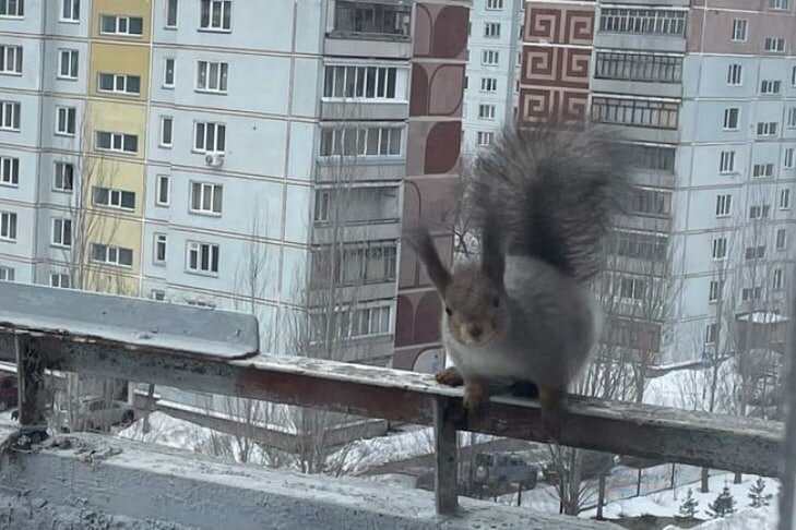 -2
