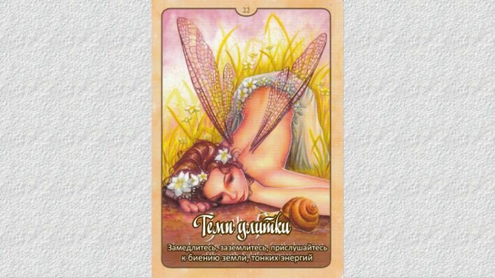 Оракул Природная мудрость фей. Фото автора. 