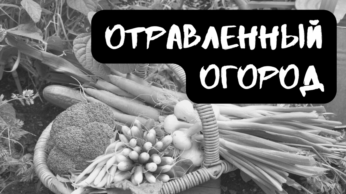 Не забудь подписаться и поставить лайк