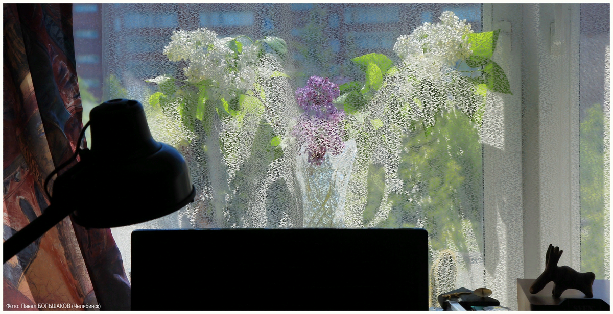 Фотография Павла Большакова