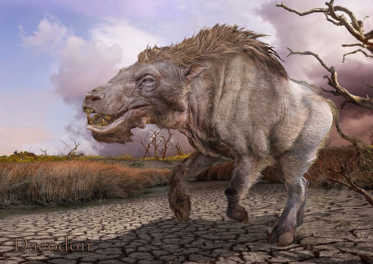 Чую, чую свежее мясо…