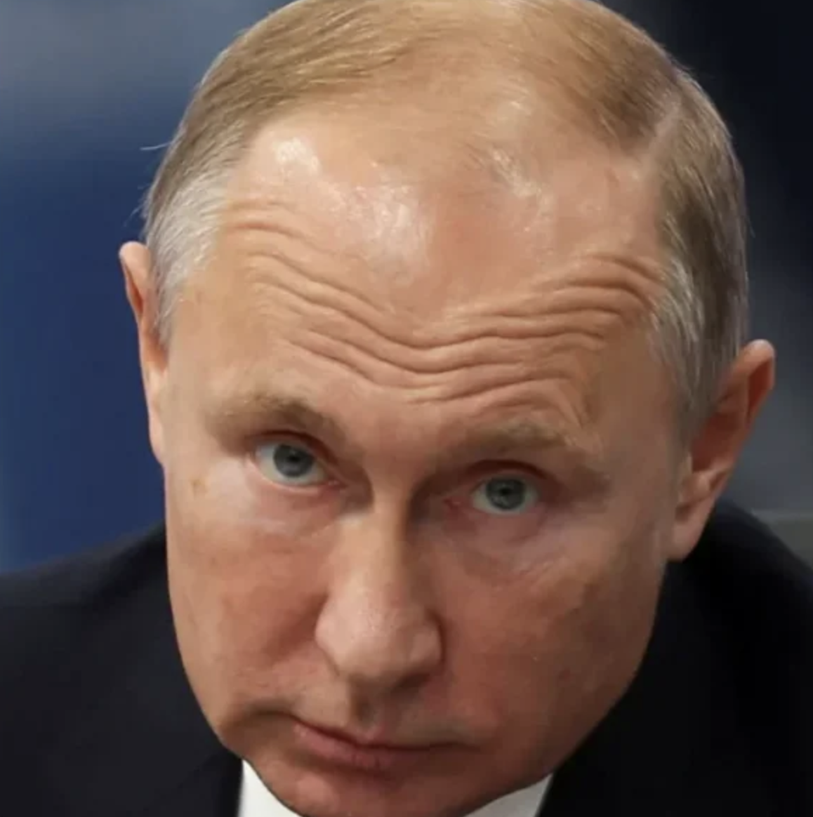 Люди похожие на Путина. Как менялось лицо Путина. Сходство Путина с бабуином.