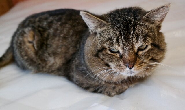 Рейс (Мурнюх). Фото из домашнего архива 