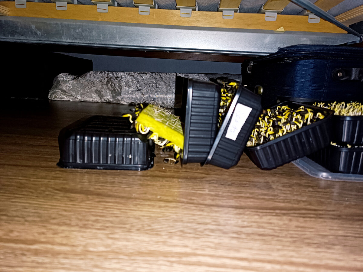 Представьте, ночью раздается страшный грохот. Что такое? А это микра "побежала", скинула с себя прижим.