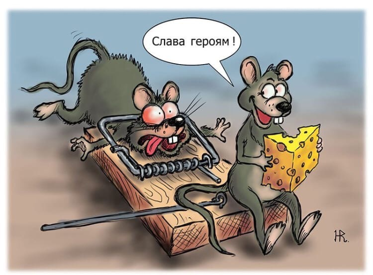Юмор изображение героев в смешном виде. Крыса карикатура. мышь карикатура. мышка юмор. мышь в мышеловке прикол.
