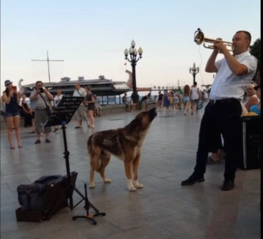 Пес Мухтар и трубач Виктор. Фото автора