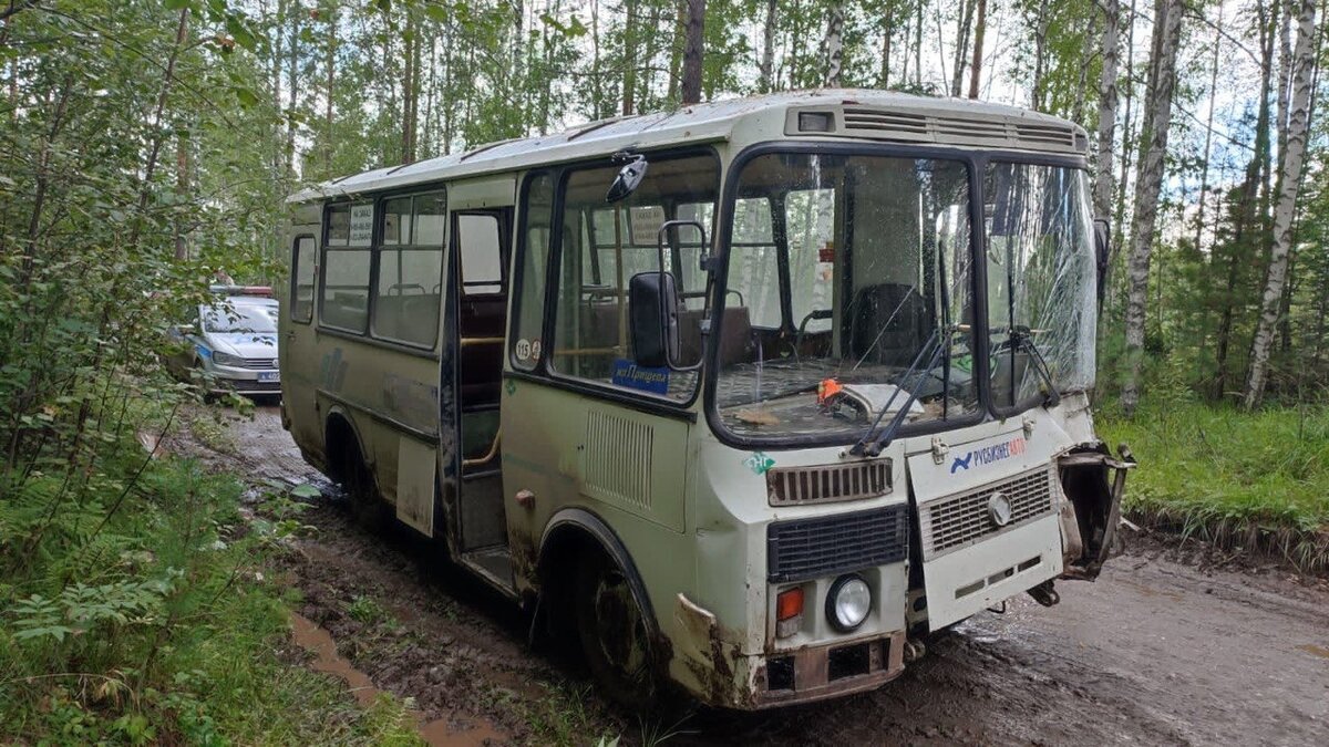     В Красноярском крае возбудили уголовное дело из-за аварии, в которой пострадали семь женщин. Они могли быть последовательницами «Церкви последнего завета» Виссариона.