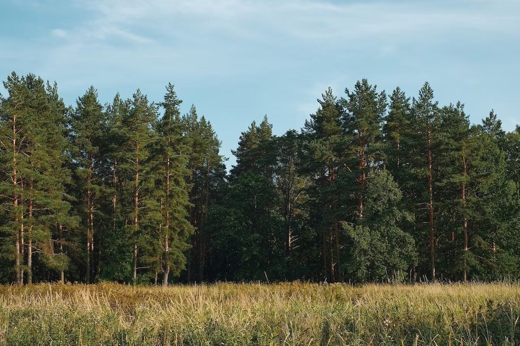   📷
