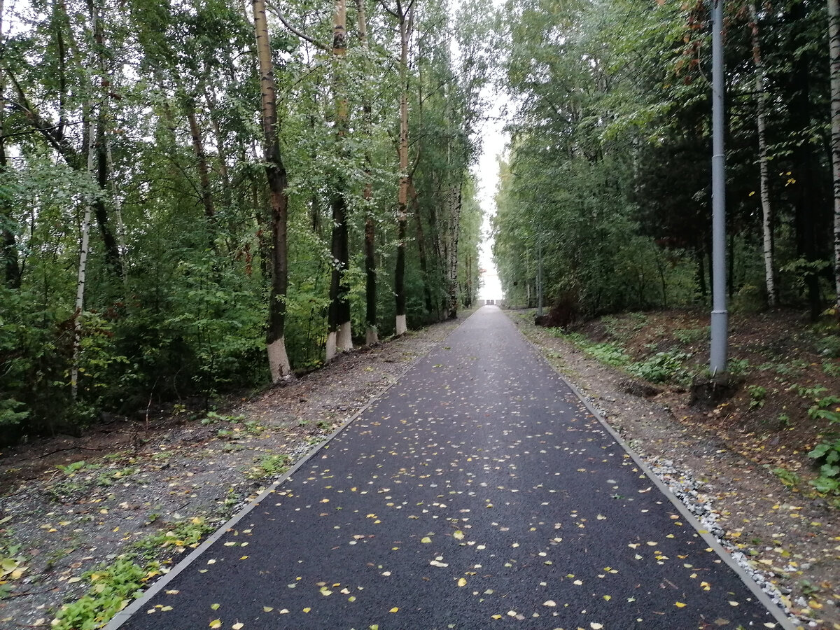 Долгая дорога к светлому будущему. Фото автора