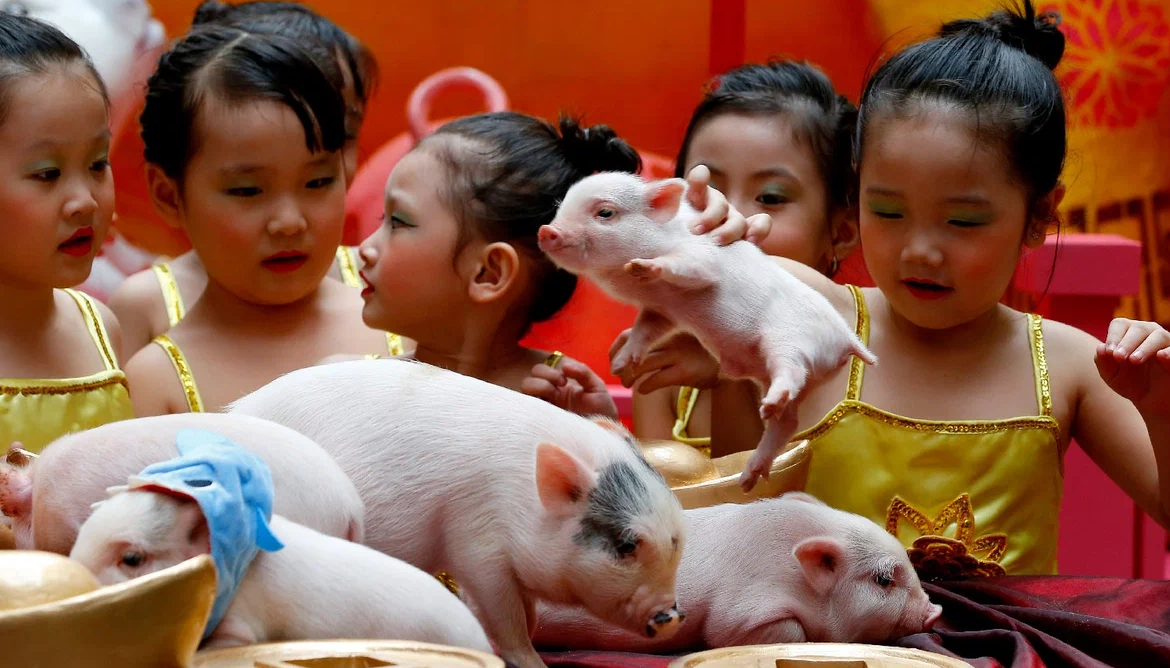 Источник фото https://apimagesblog.com/blog/2019/2/5/lunar-new-year-marked-with-celebration-ceremony