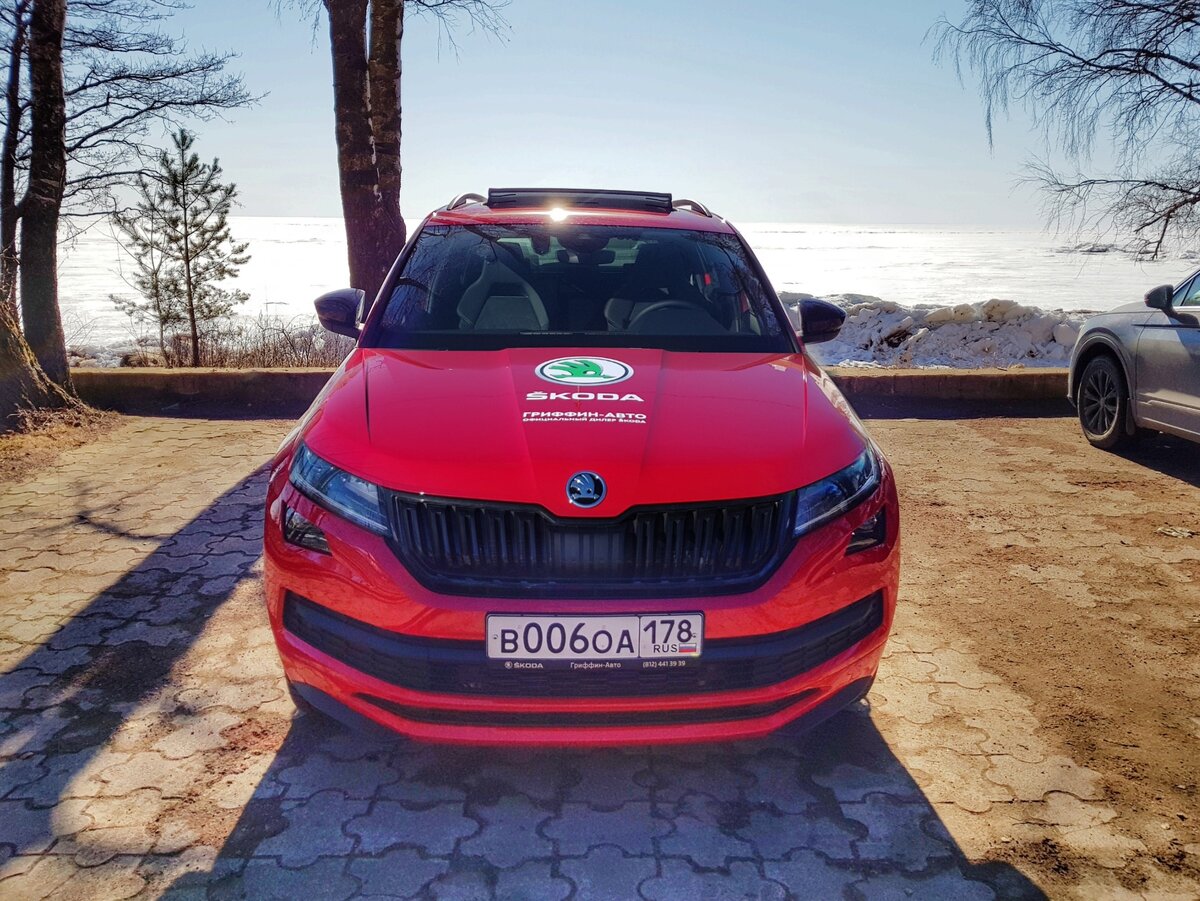 SKODA KODIAQ Sportline : Редкий зверь на дорогах России | Евгений Соловьев  | Skoda club Piter | Дзен