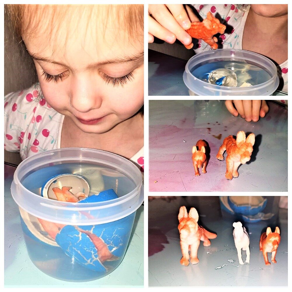 вырастить рачков из фикс прайс